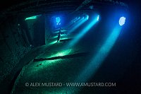 Sunbeams In Giannis D. Egypt