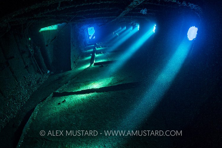 Sunbeams In Giannis D. Egypt