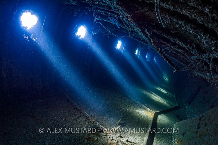 Sunbeams In Giannis D. Egypt