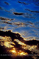 Sea Surface At Dusk. Egypt