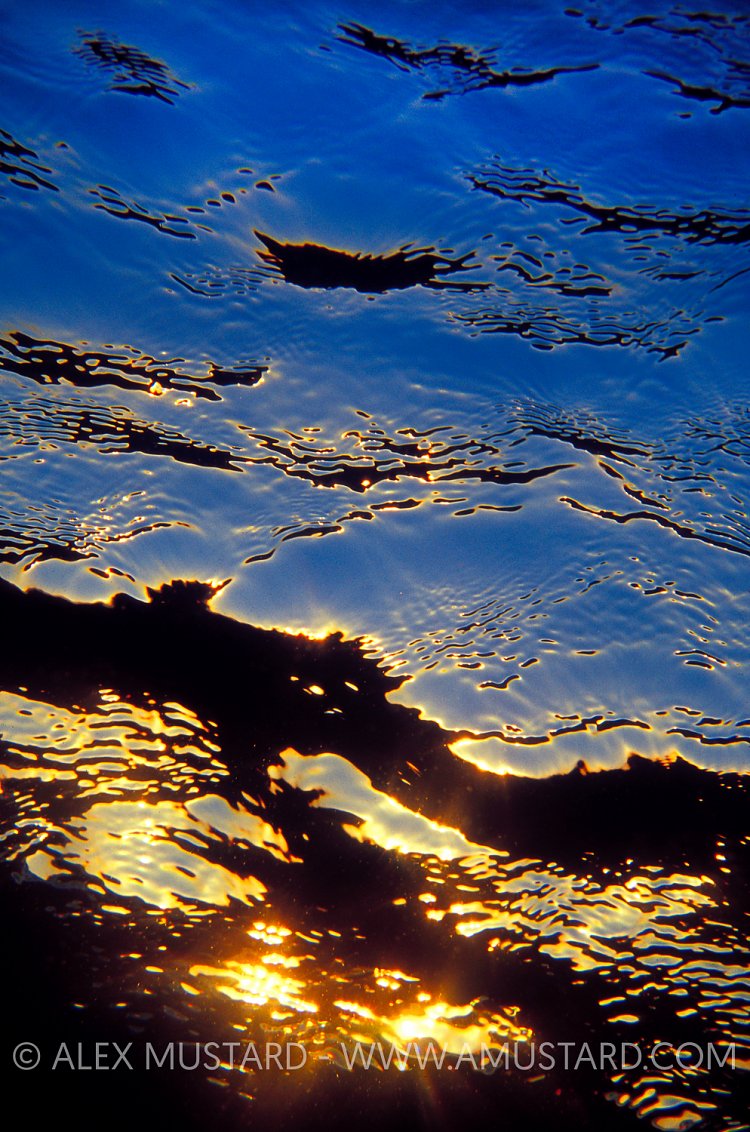 Sea Surface At Dusk. Egypt
