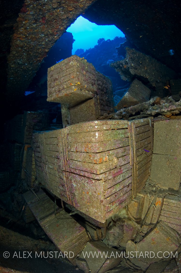 Inside the Krisoula K. Egypt