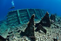 Giannis D Midships. Egypt