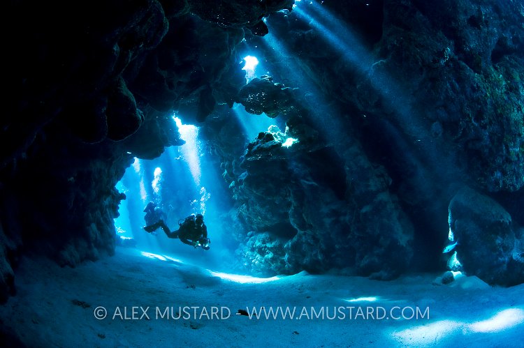 Divers in a coral cavern