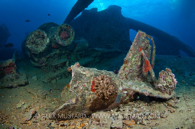 Paravane on Thistlegorm. Red Sea