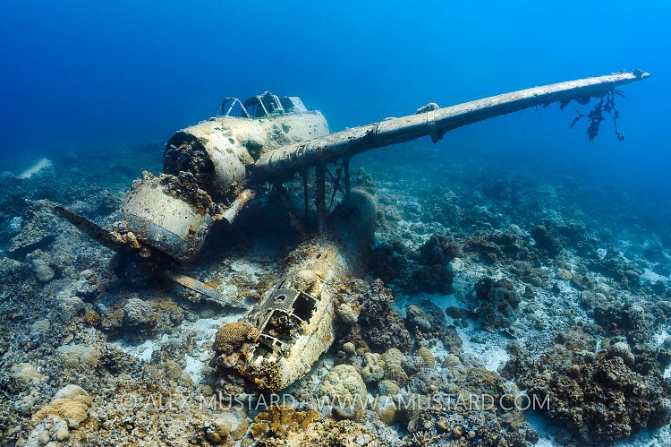 Jake Seaplane. Palau