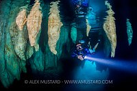 Cavern Diver. Palau