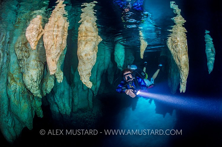 Cavern Diver. Palau