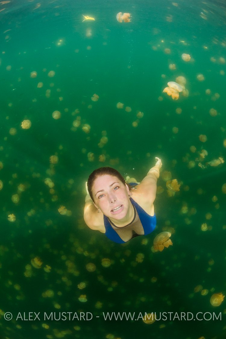 A girl (Heidi Cuddy) swims in jellyfish lake. Palau
