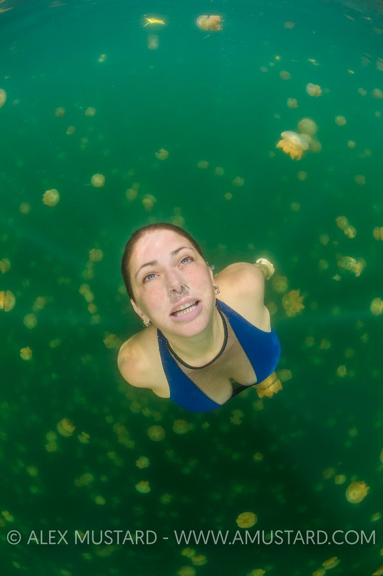 A girl (Heidi Cuddy) swims in jellyfish lake. Palau