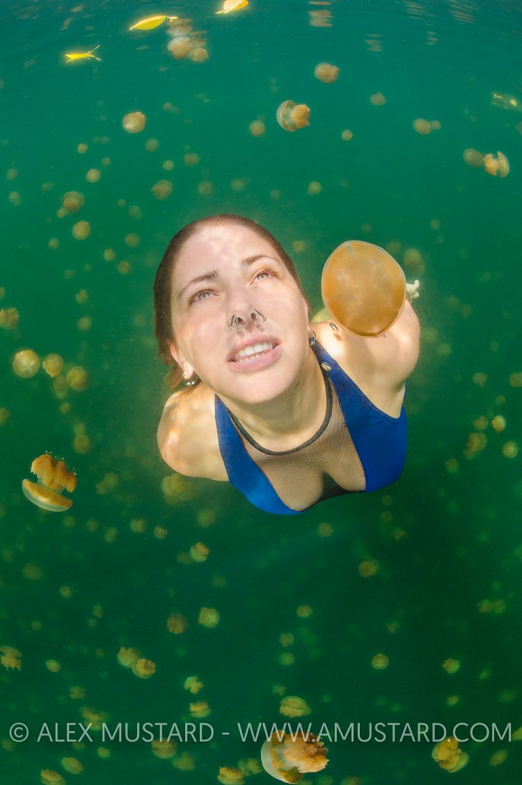 A girl (Heidi Cuddy) swims in jellyfish lake. Palau