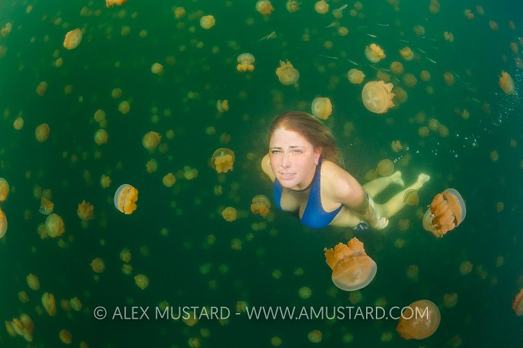 A girl (Heidi Cuddy) swims in jellyfish lake. Palau