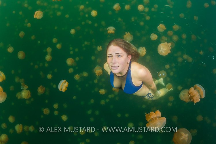 A girl (Heidi Cuddy) swims in jellyfish lake. Palau