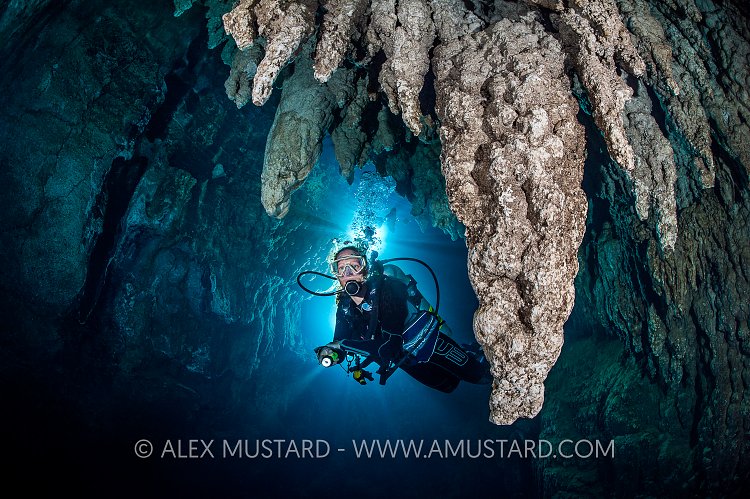 Cave Diver. Palau