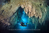 Exploring Chandelier Cave. Palau