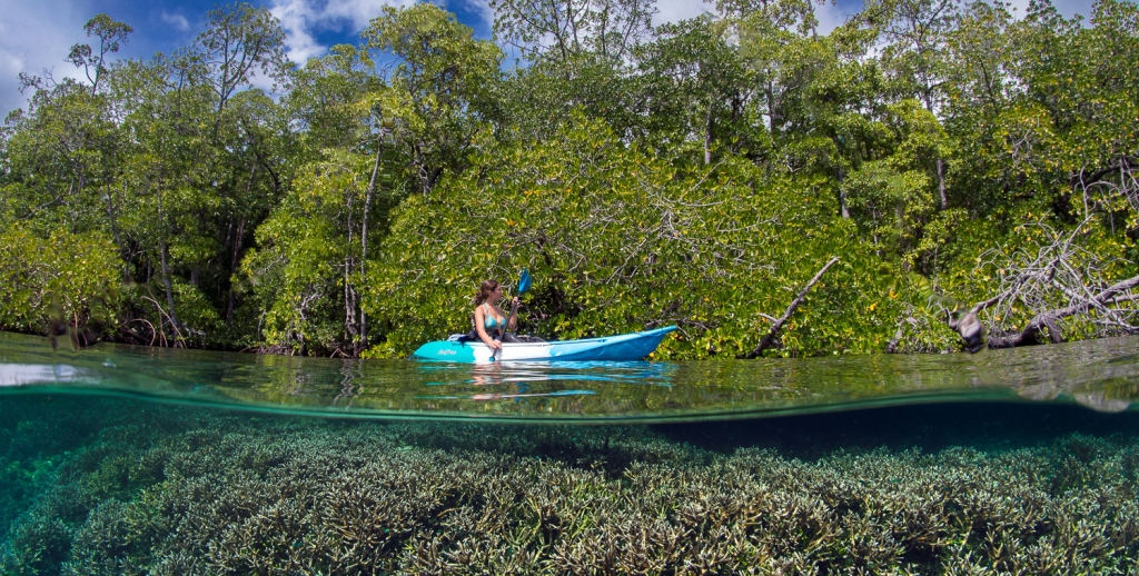 A kayaker (Eleonora Manca) explores mangroves and coral reefs. Waigeo, Raja Ampat, West Papua, Indonesia. Model released.