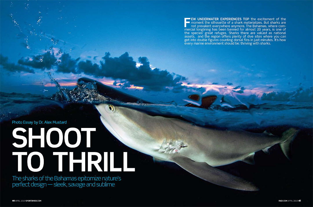 SPD0410_FeatureBahamas-1