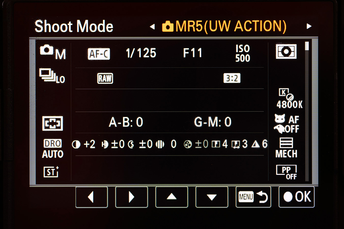 FJ26_am-19011 copy