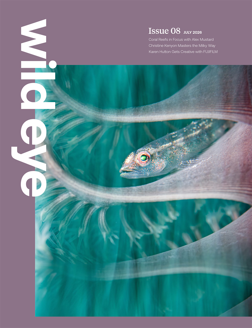 WildEyeMagazine_Issue08_20260714-49mb-1 copy